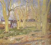 Vincent Van Gogh Avenue of Plane Trees near Arles Station (nn04) oil painting reproduction